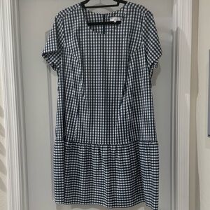J Crew Blue and White Checkered dress
NWOT